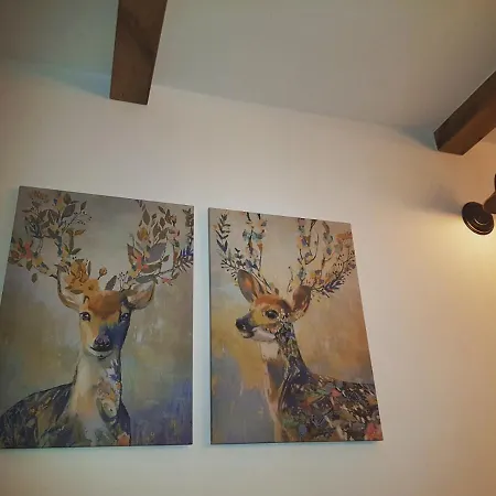 Olimpijska Kuca Jahorina